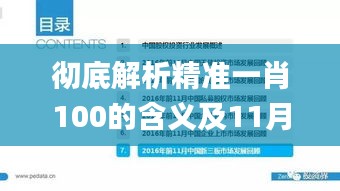 彻底解析精准一肖100的含义及11月19日的先进措施方案_IFB6.50.90数字版