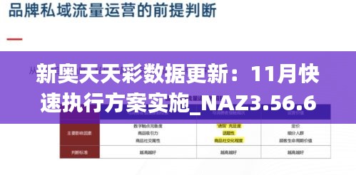 新奥天天彩数据更新：11月快速执行方案实施_NAZ3.56.65迷你版