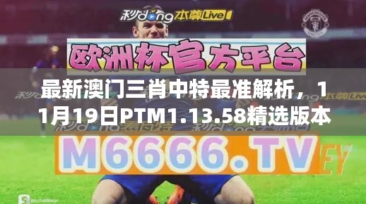 最新澳门三肖中特最准解析，11月19日PTM1.13.58精选版本