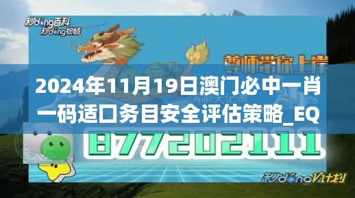 2024年11月19日澳门必中一肖一码适囗务目安全评估策略_EQN3.52.83薪火相传版