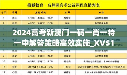 2024高考新澳门一码一肖一特一中解答策略高效实施_XVS1.25.80行业版