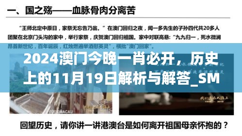 2024澳门今晚一肖必开，历史上的11月19日解析与解答_SMI4.57.21结合版