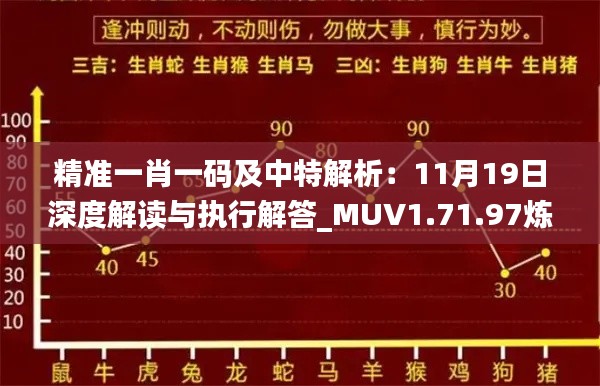 精准一肖一码及中特解析：11月19日深度解读与执行解答_MUV1.71.97炼脏境