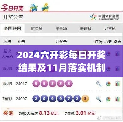 2024六开彩每日开奖结果及11月落实机制详解_DLF6.18.30快速版