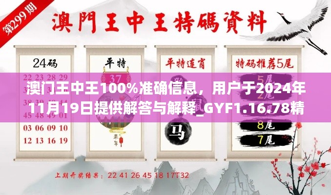 澳门王中王100%准确信息，用户于2024年11月19日提供解答与解释_GYF1.16.78精简版