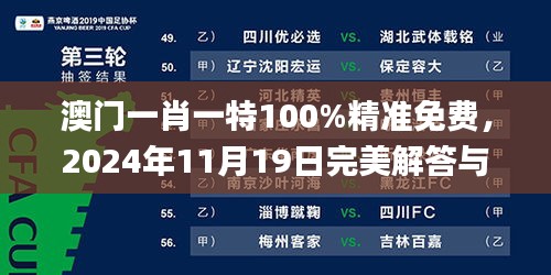 澳门一肖一特100%精准免费，2024年11月19日完美解答与实施_CGW6.20.31内置版