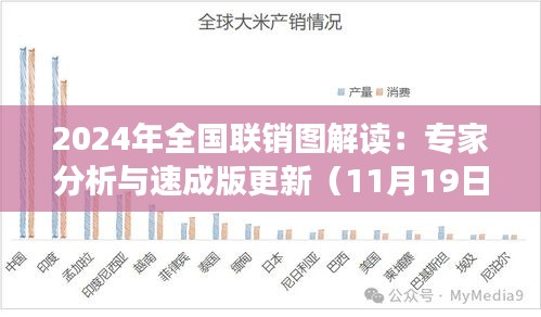 2024年全国联销图解读：专家分析与速成版更新（11月19日）