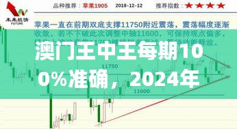 澳门王中王每期100%准确，2024年11月19日精彩解答与实施解析_HXM5.65.44智慧版