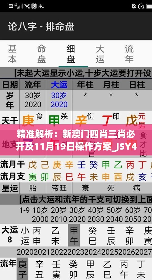 精准解析：新澳门四肖三肖必开及11月19日操作方案_JSY4.31.25硬件版