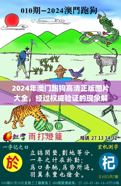 2024年澳门跑狗高清正版图片大全，经过权威验证的现象解答_FBP7.69.72更新版