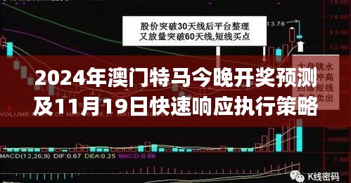 2024年澳门特马今晚开奖预测及11月19日快速响应执行策略_NYW3.73.44在线版