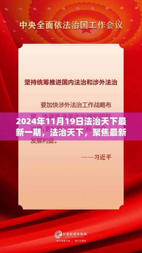 法治天下深度解读，聚焦最新一期节目内容（日期，2024年11月19日）