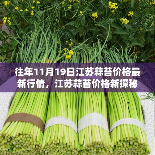 往年11月19日江苏蒜苔价格最新行情，江苏蒜苔价格新探秘，小巷深处的特色小店与独特行情