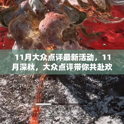 11月大众点评最新活动，11月深秋，大众点评带你共赴欢乐盛宴，友情与优惠同行！