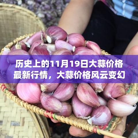 科技重塑生活，揭秘历史上大蒜价格风云变幻的11月19日最新行情分析