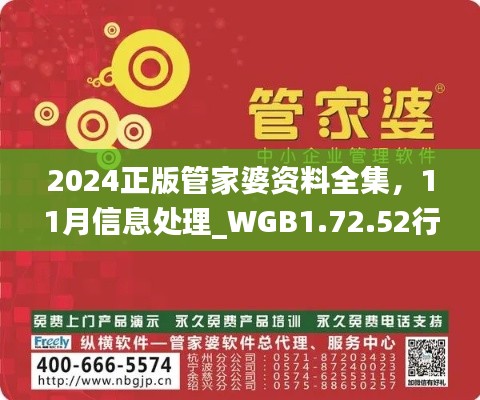 2024正版管家婆资料全集，11月信息处理_WGB1.72.52行业版