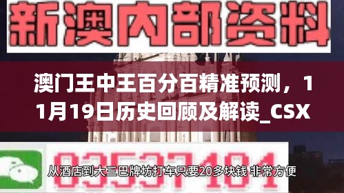 澳门王中王百分百精准预测，11月19日历史回顾及解读_CSX3.42.83风味版