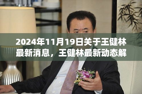 王健林最新动态解读，步骤指南获取与分析步骤资讯（2024年11月19日）