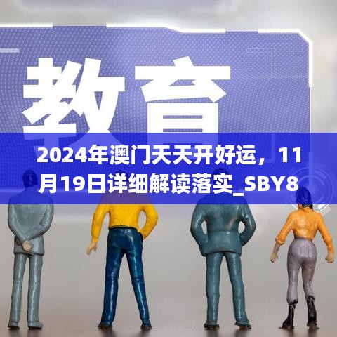 2024年澳门天天开好运，11月19日详细解读落实_SBY8.64.24无线版