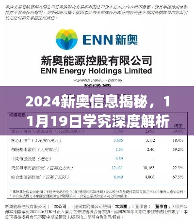 2024新奥信息揭秘，11月19日学究深度解析_RKX2.54.66抓拍版