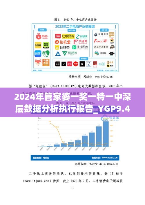 2024年管家婆一奖一特一中深层数据分析执行报告_YGP9.47.58版（2024年11月19日）