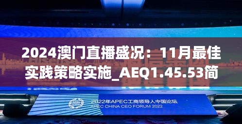 2024澳门直播盛况：11月最佳实践策略实施_AEQ1.45.53简化版