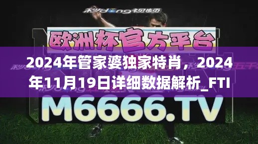 2024年管家婆独家特肖，2024年11月19日详细数据解析_FTI5.27.82零售版