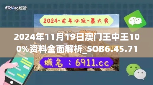 2024年11月19日澳门王中王100%资料全面解析_SOB6.45.71梦想版