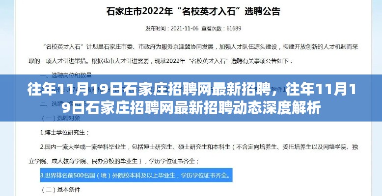 往年11月19日石家庄招聘网最新招聘动态解析及深度探讨