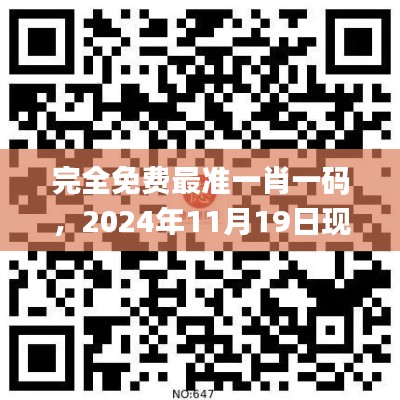 完全免费最准一肖一码，2024年11月19日现象解析与落实指导_DZN7.27.74互助版