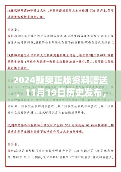 2024新奥正版资料赠送，11月19日历史发布，解决实施解答解析_HBM9.36.91计算版