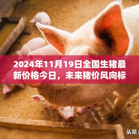 智能预测系统引领未来，全国生猪最新价格趋势分析（2024年11月19日）