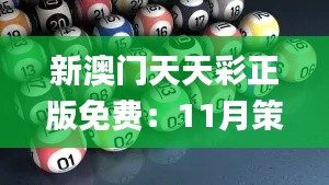 新澳门天天彩正版免费：11月策略调整快速探讨_KBA2.24.92广播版