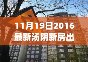 汤阴新房市场崭新篇章，2016年11月19日的新房出售繁荣与影响