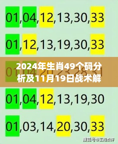 2024年生肖49个码分析及11月19日战术解析_WYE3.21.58硬件版