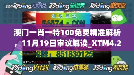 澳门一肖一特100免费精准解析，11月19日审议解读_XTM4.29.81极速版