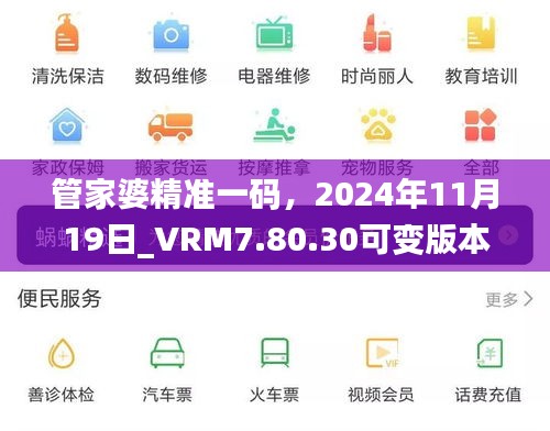 管家婆精准一码，2024年11月19日_VRM7.80.30可变版本