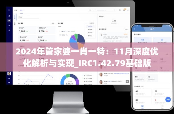 2024年管家婆一肖一特：11月深度优化解析与实现_IRC1.42.79基础版