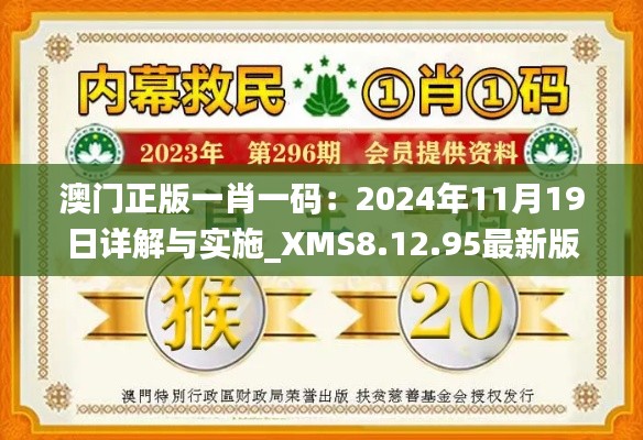 澳门正版一肖一码：2024年11月19日详解与实施_XMS8.12.95最新版