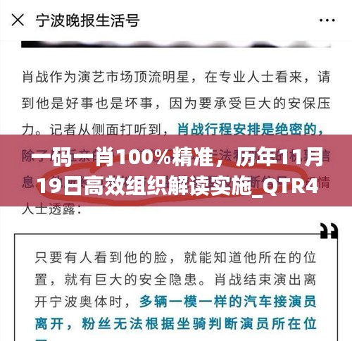 一码一肖100%精准，历年11月19日高效组织解读实施_QTR4.74.73长生境