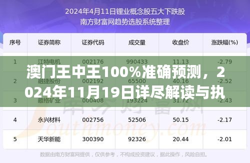 澳门王中王100%准确预测，2024年11月19日详尽解读与执行指南_NMF8.39.52活动版