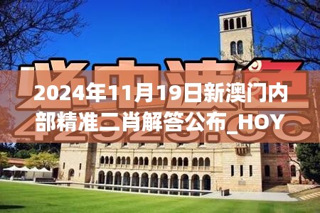 2024年11月19日新澳门内部精准二肖解答公布_HOY7.33.52获取版