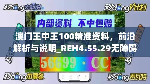 澳门王中王100精准资料，前沿解析与说明_REH4.55.29无障碍版本