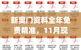 新奥门资料全年免费精准，11月现场解答定义解析_DUQ9.39.42便携版