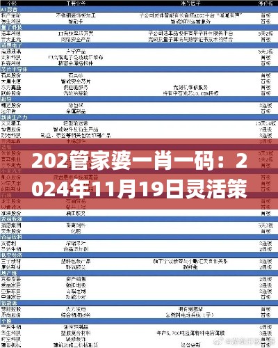 202管家婆一肖一码：2024年11月19日灵活策略适配研究_RJD3.25.76版本