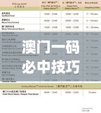 澳门一码必中技巧解析，2024年11月19日解读落实_ZPY2.79.47特别版