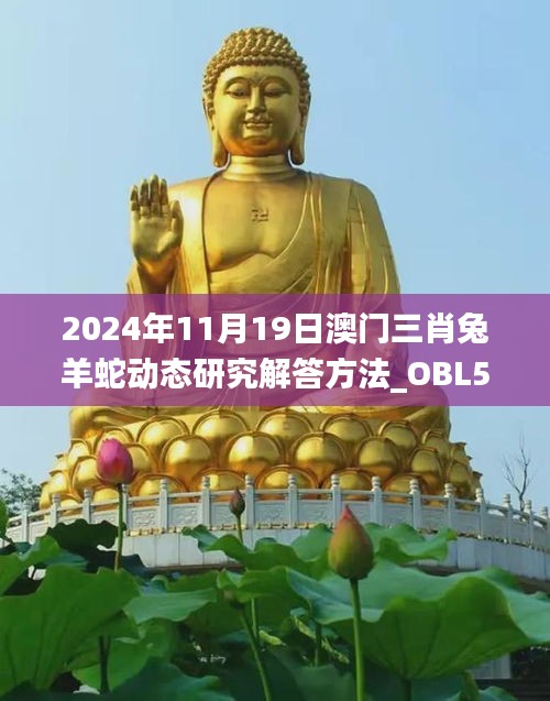 2024年11月19日澳门三肖兔羊蛇动态研究解答方法_OBL5.31.61大师版