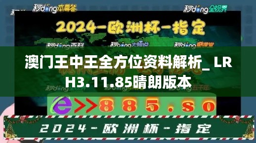 澳门王中王全方位资料解析_ LRH3.11.85晴朗版本