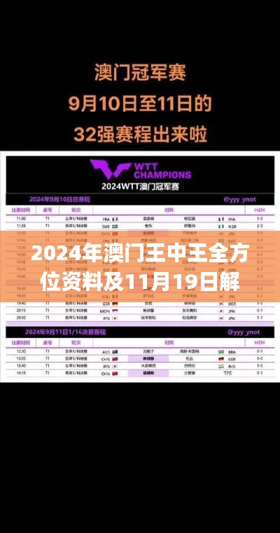 2024年澳门王中王全方位资料及11月19日解读措施深度研究_DGN5.72.92专版