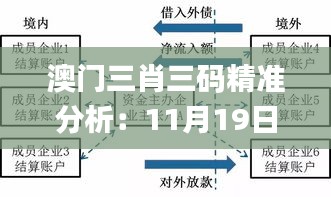 澳门三肖三码精准分析：11月19日黄大仙解读与解析路径_RSN1.25.26蓝球版